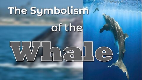 The Symbolism of the Whale