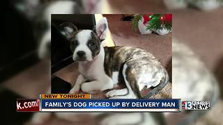 Las Vegas woman says dog was taken by medical delivery man