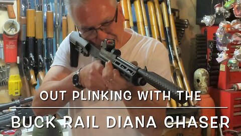 Out in the garage plinking with my Buck Rail Diana Chaser Co2 22 carbine. So much fun!