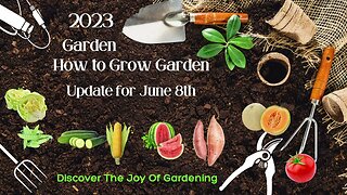 How to grow a garden update June 8th