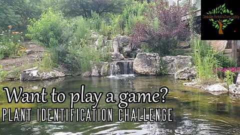 Want to play a garden game? Plant Identification Challenge!
