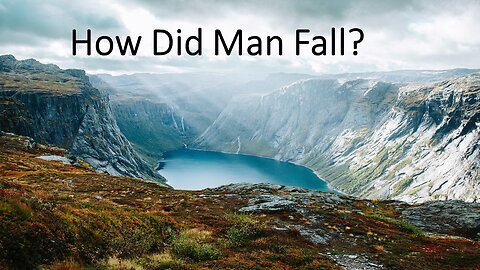 How Did Man Fall?