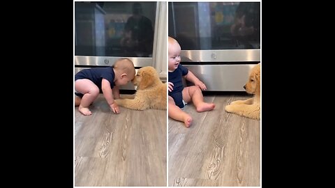 Baby Plays with Puppy!