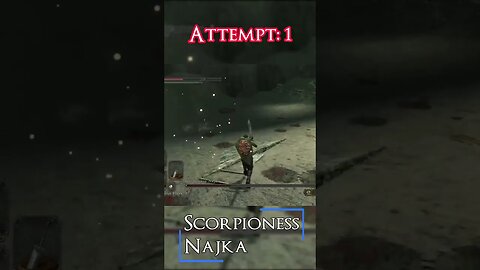 Quelaa... I mean Scorpioness Najka, the arachnalady of DS2