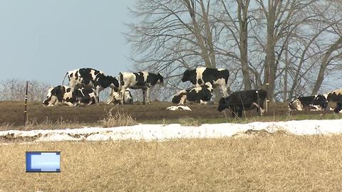 Farmers face major challenges after winter storm