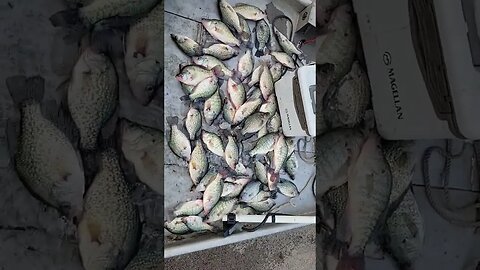 Veterans trip and crappie slaughter. Grocery fishing not trophy fishing