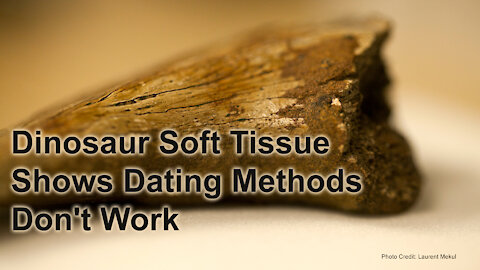 Dinosaur Soft Tissue Shows Dating Methods Don't Work