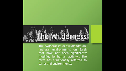 The Wilderness: Is this a place of fear or a place of safety?