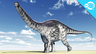 BrainStuff: Did The Brontosaurus Exist?