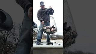 fishing video, creek crappie, slab crappie on jigs in the winter