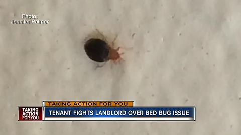 Complex with bed bug problem forces tenant to pay for pest control