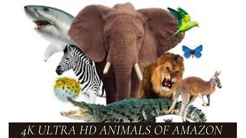 Amazon Unveiled: The Untamed Realms in Ultra HD