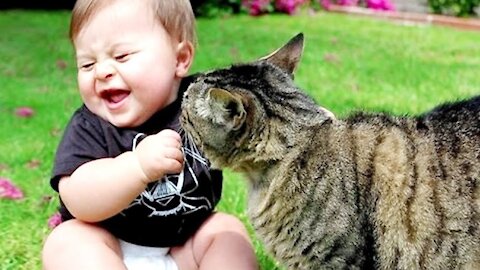 Funny Cats And Babies Playing Together