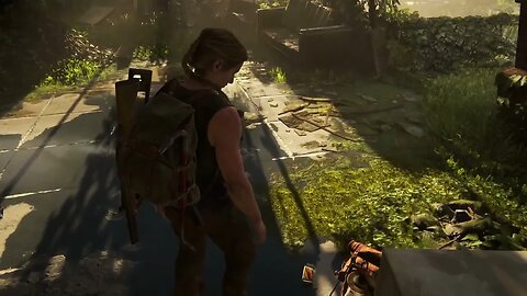 The Last of Us Part II Check my Position