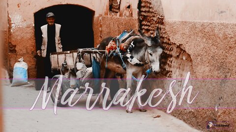 City walking tour in Marrakech, Morocco | Städtetour nach Marrakesh in Marokko