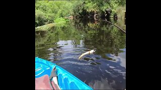 Big Catch on the Creek