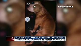 Stolen vehicle suspects shoot dog while trying to evade police