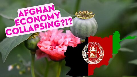 Afghanistan Economy | Taliban banning poppy cultivation