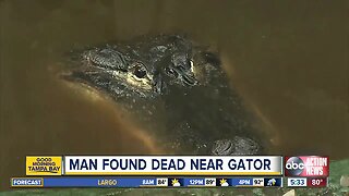 Deputies investigating body found near alligator in Fort Meade