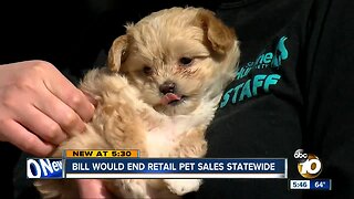 Bill would end retail pet sales statewide