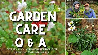 Garden Care Q&A - Watering During Winter/ Winterizing Plants/ Changing Flower Color
