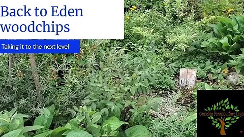 Taking Back to Eden woodchips to the next level: Maximizing root exudates
