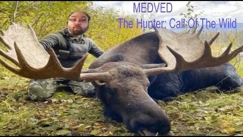 Medved Taiga The Hunter Call of The Wild