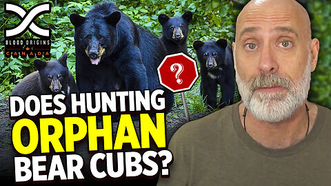 Ep 4 Short Truths Canada - Does Hunting Orphan Bear Cubs?