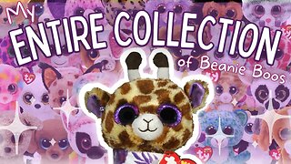 ✨2023 Beanie Boo Collection!✨(185+)