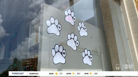 Pet supply store creates dog and cat food pantry to help pet owners in need | The Rebound Tampa Bay