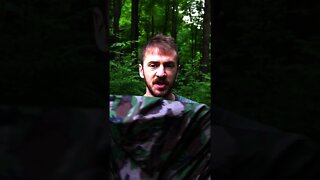 14 Days in the Wilderness. Bushcraft camping and Aquaquest Tarp Setups. Survival skills