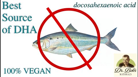 DHA Essential Fatty Acid: 100% VEGAN Source From Algae