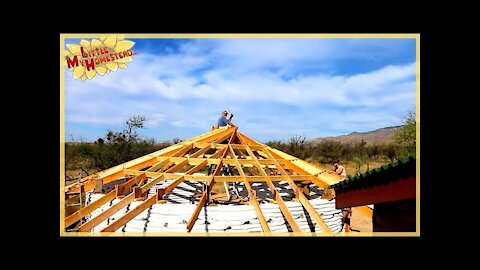 Reciprocal Roof Purlins & Jack Rafters | Underground Earthbag Building | Weekly Peek Ep62