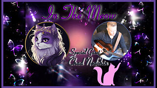 In The Meow | With Special Guest Chad Nedohin