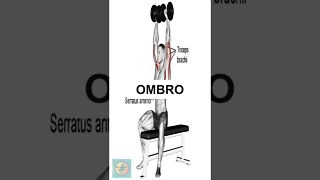 OMBRO #shorts