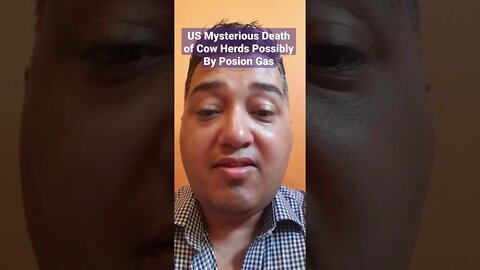 #US #Mysterious #Death of #Cow #Herds Possibly By #Posion #Gas https://t.me/IndependentNewsMediaChat