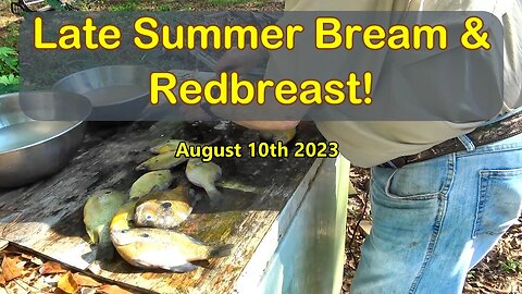 Late Summer Bream & Redbreast! Wateree River