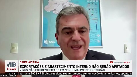 Exportações e abastecimento interno de aves não serão afetados pela gripe aviária