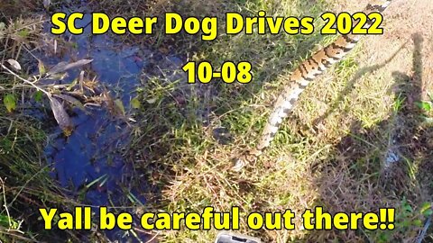 SC Deer Dog Drives 2022! 10-08... Venison is on the Menu!!