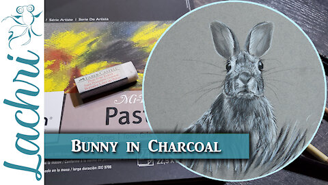 Drawing a bunny in charcoal - Lachri