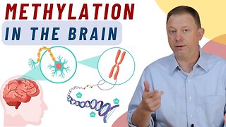 Methylation in the Brain: What is it?