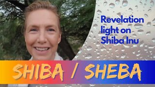 Revelation Light and the Queen of Sheba (Shiba Inu)