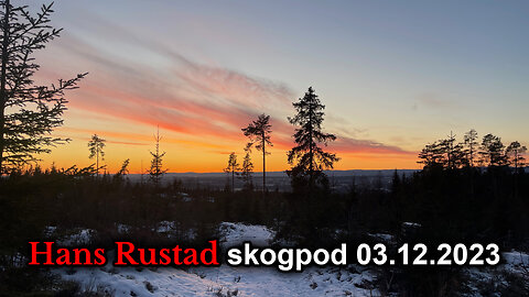 Skogpod 3. desember 2023