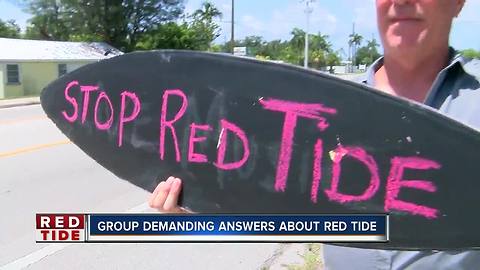Red tide rally planned from St. Pete to Sarasota