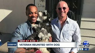 Soldier reunited with dogs after one dog escaped under caretaker's fence