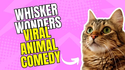 Funny animals, Funny animals Hub, animals vs humans, funny 😆😄🤣😂videos, animals