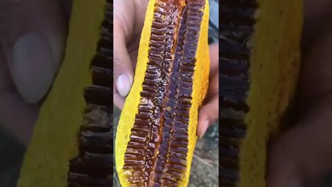 Beautiful Honey Comb