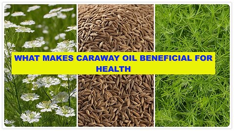 What Makes Caraway Oil Beneficial for Health
