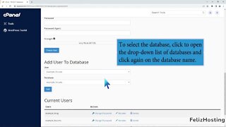 How to add a user to a database and add privileges with FelizHosting