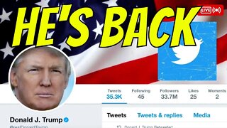 Trump is back on Twitter Elon Musk #trump #twitter